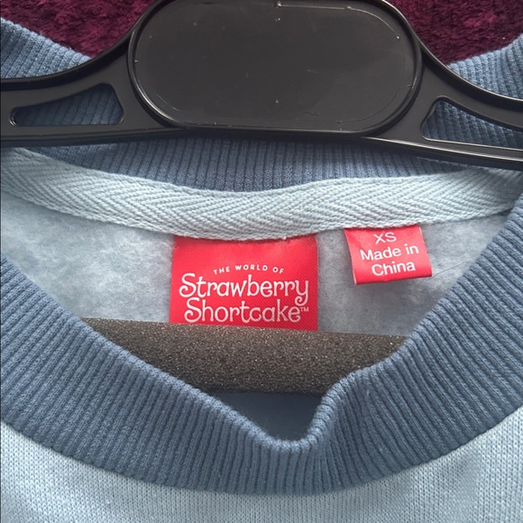 NWOT Strawberry Shortcake Blue Striped Sweatshirt - size XS - Picture 2 of 3